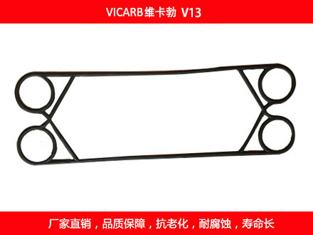 V20 国产板式榴莲APP官方网站地址进入在线密封垫片