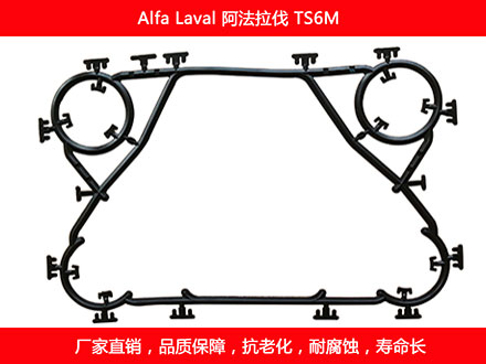 TS6M 国产板式榴莲APP官方网站地址进入在线密封垫片
