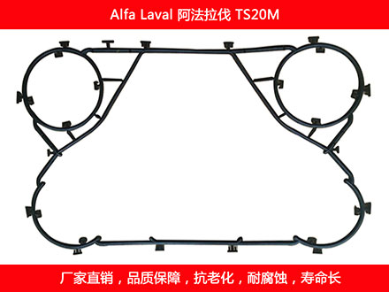 TS20M 国产板式榴莲APP官方网站地址进入在线密封垫片