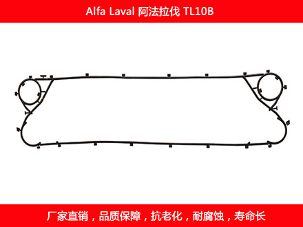 TL10P 国产板式榴莲APP官方网站地址进入在线密封垫片