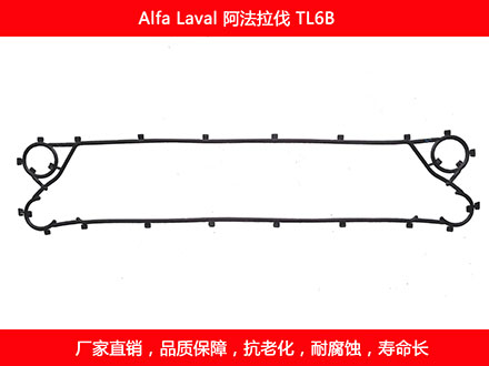 TL6B 国产板式榴莲APP官方网站地址进入在线密封垫片